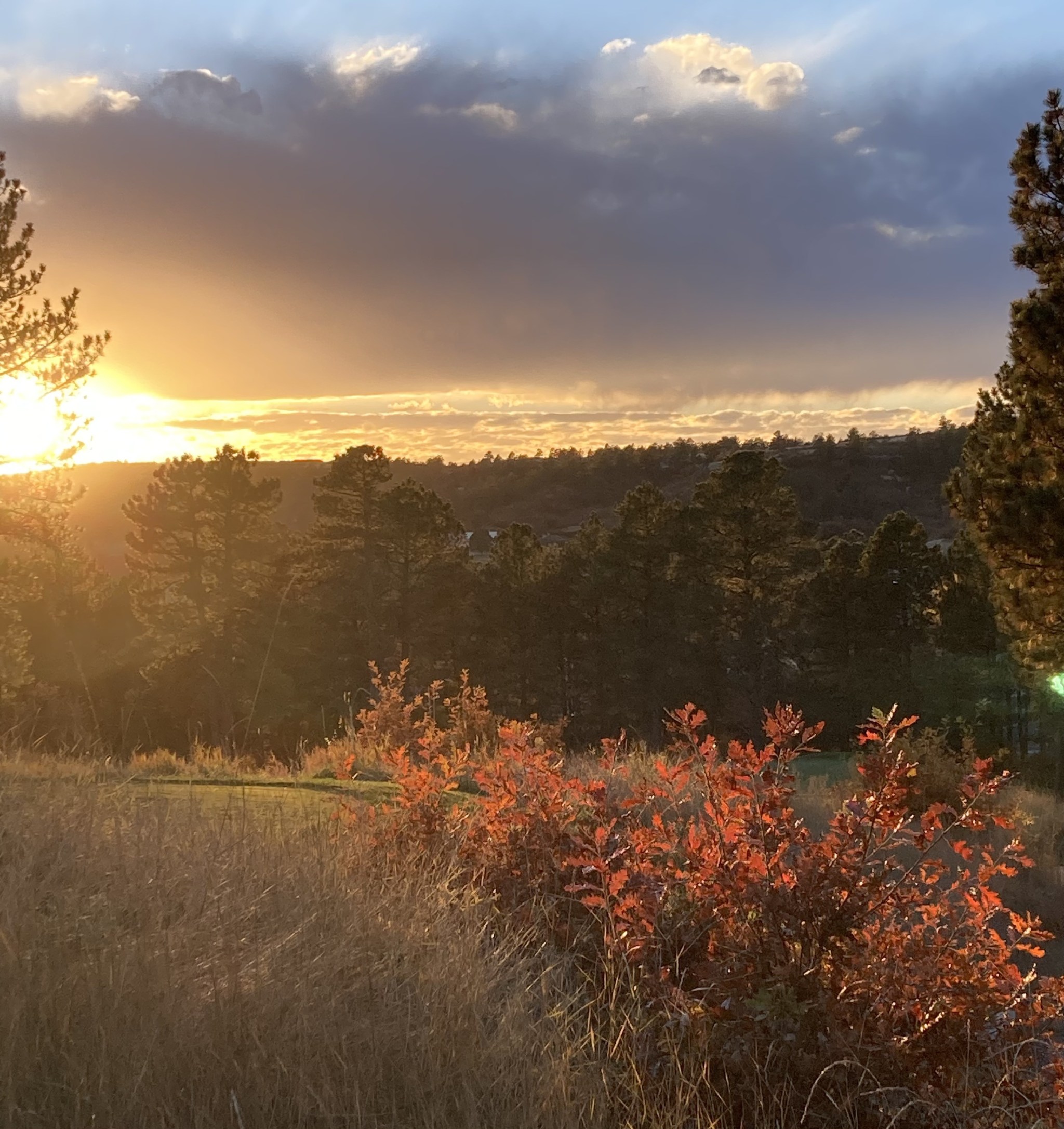 The Ridge at Castle Pines North – Layman's Hall